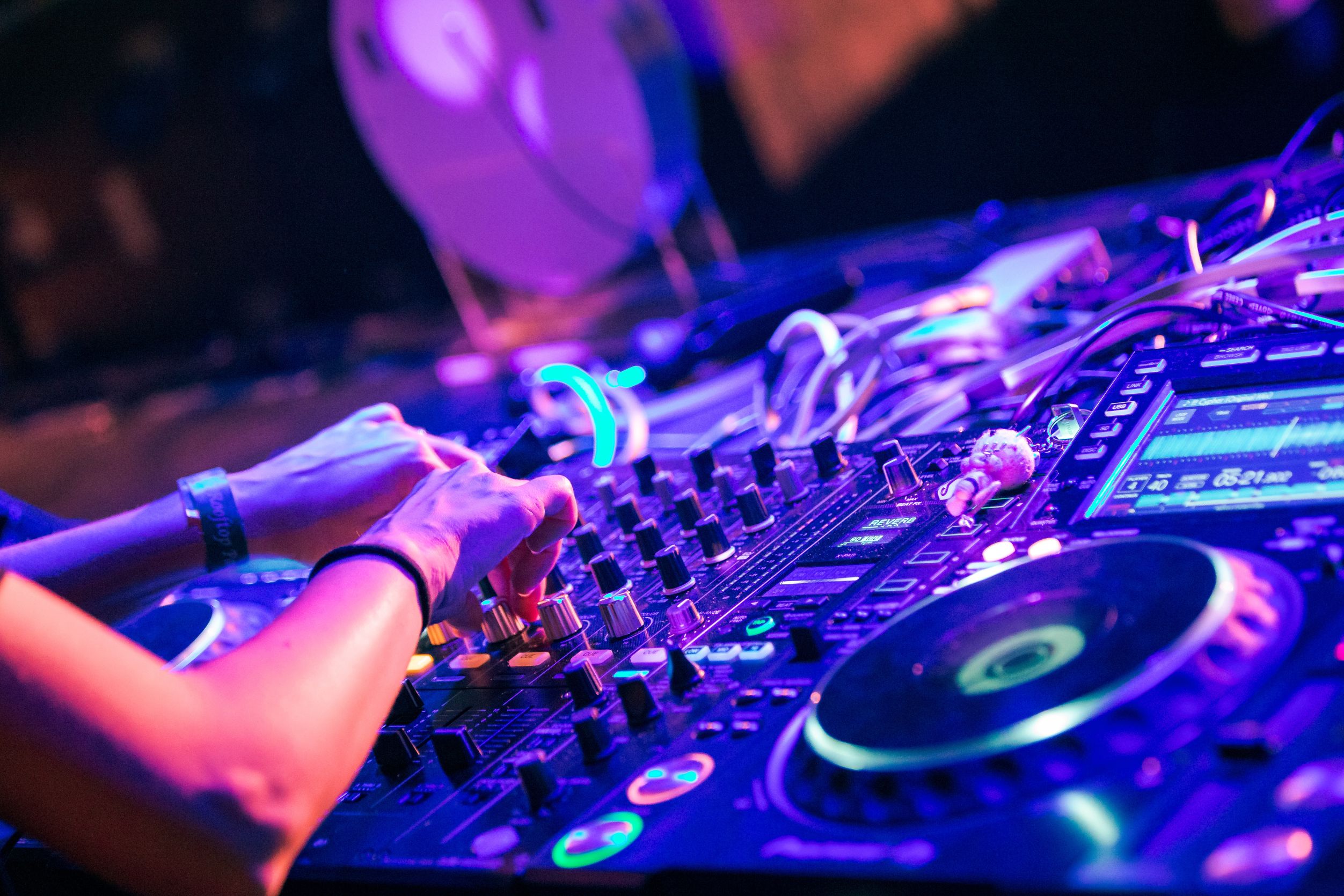 Animación y DJ en Vivo